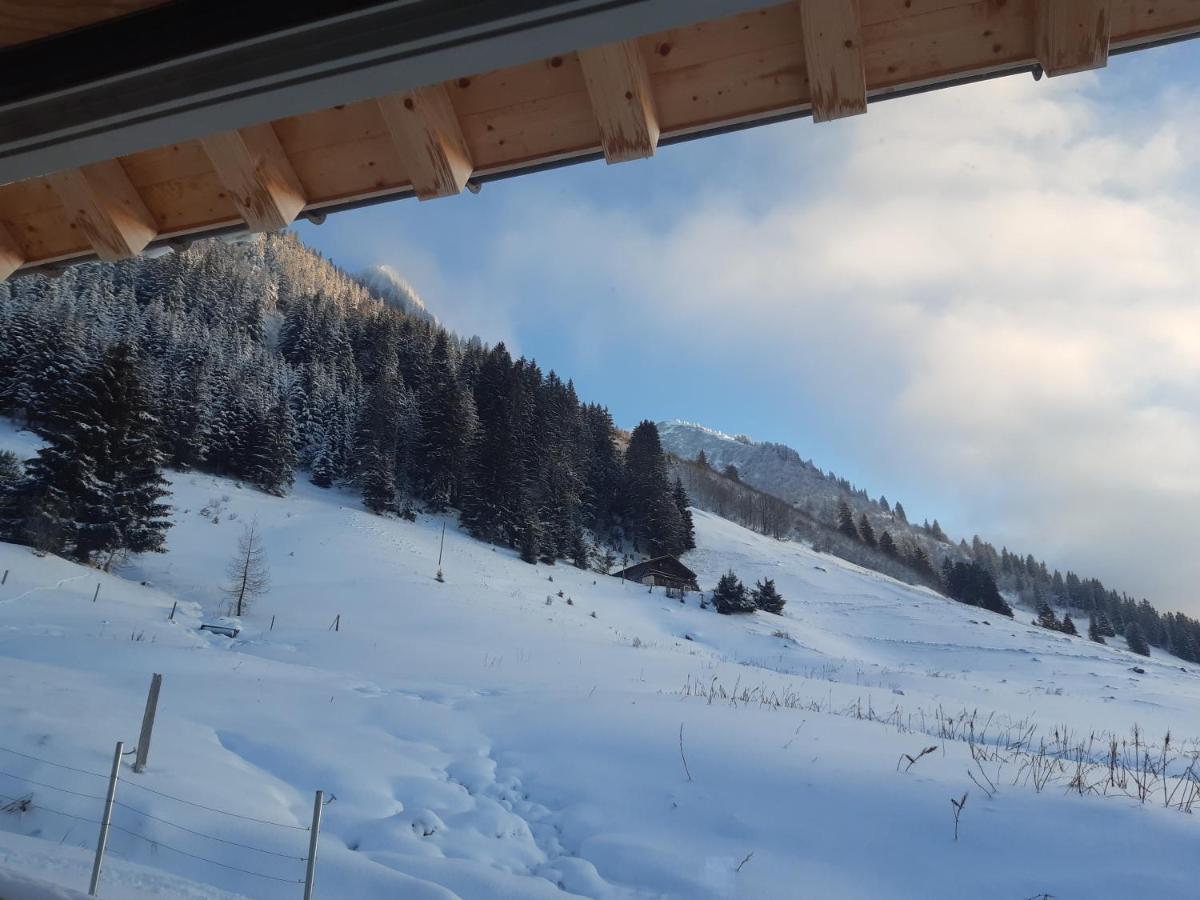 Alpine Dream Chalet With Spa Close To Lake Geneva Les Mosses Exterior photo